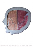 /album/miro-pallo/hlava-zm-jpg/